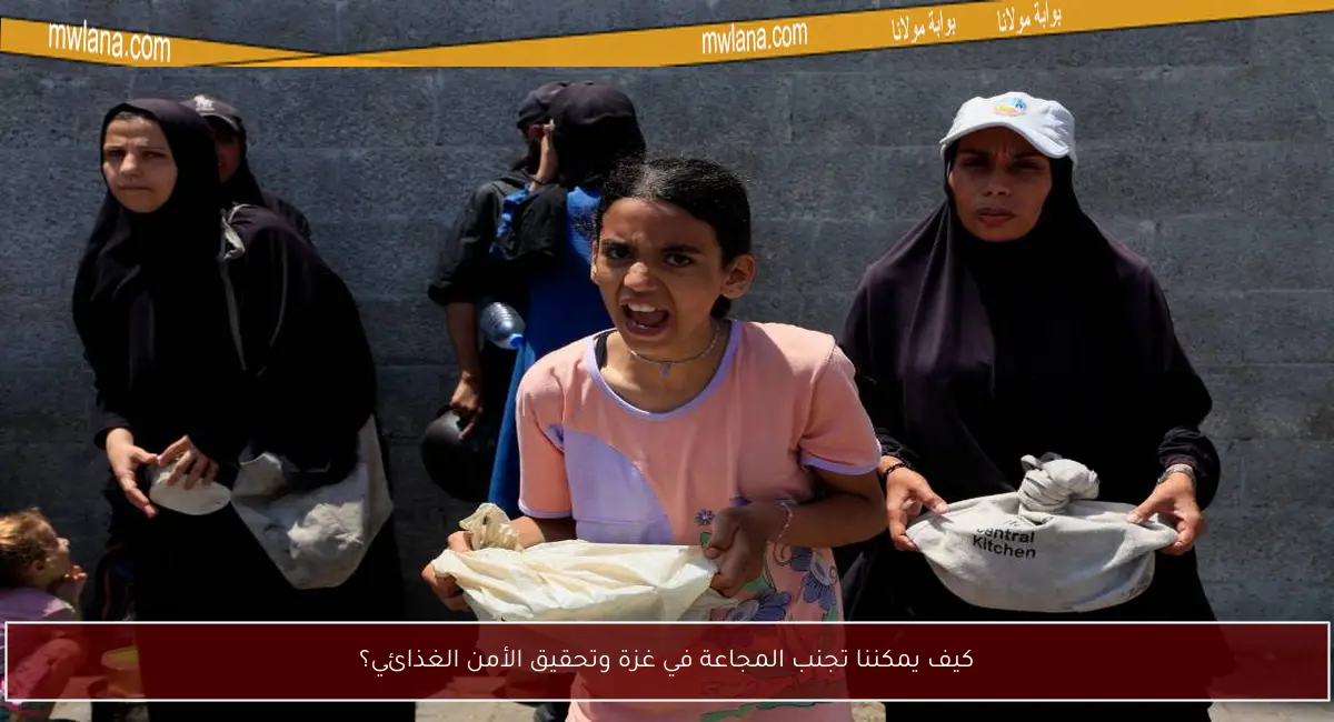 كيف يمكننا تجنب المجاعة في غزة وتحقيق الأمن الغذائي؟