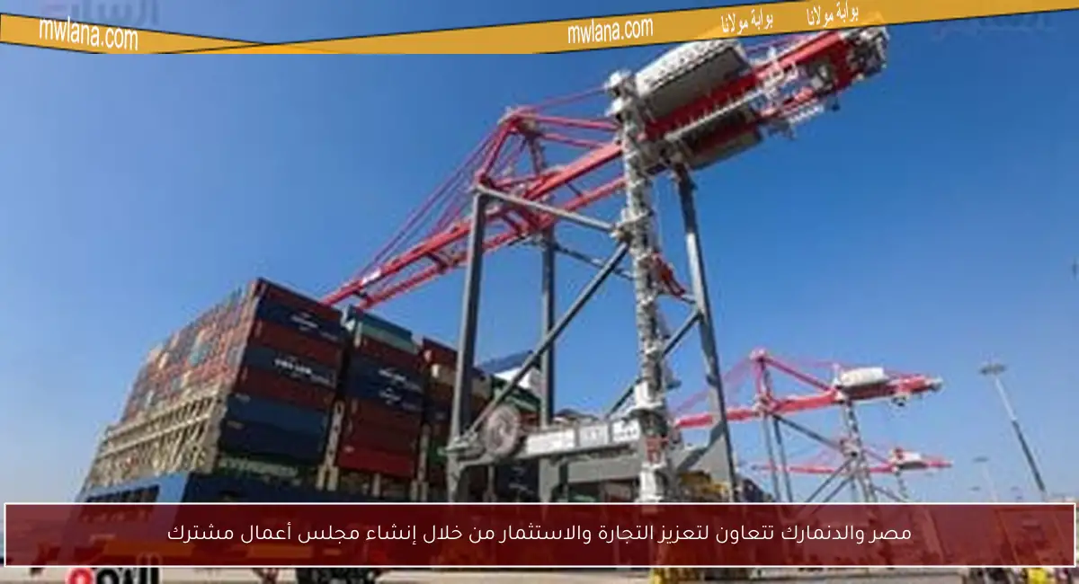 مصر والدنمارك تتعاون لتعزيز التجارة والاستثمار من خلال إنشاء مجلس أعمال مشترك