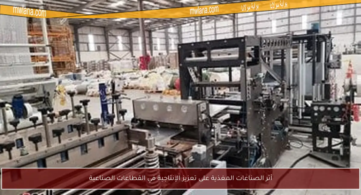 أثر الصناعات المغذية على تعزيز الإنتاجية في القطاعات الصناعية