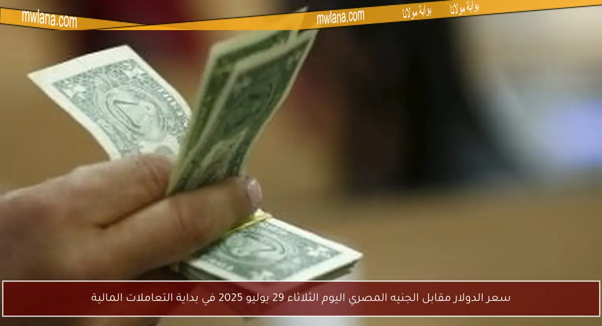 سعر الدولار مقابل الجنيه المصري اليوم الثلاثاء 29 يوليو 2025 في بداية التعاملات المالية