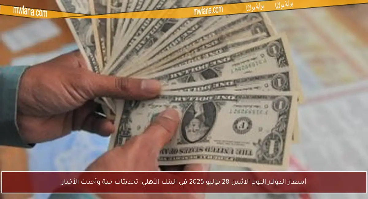 أسعار الدولار اليوم الاثنين 28 يوليو 2025 في البنك الأهلي: تحديثات حية وأحدث الأخبار