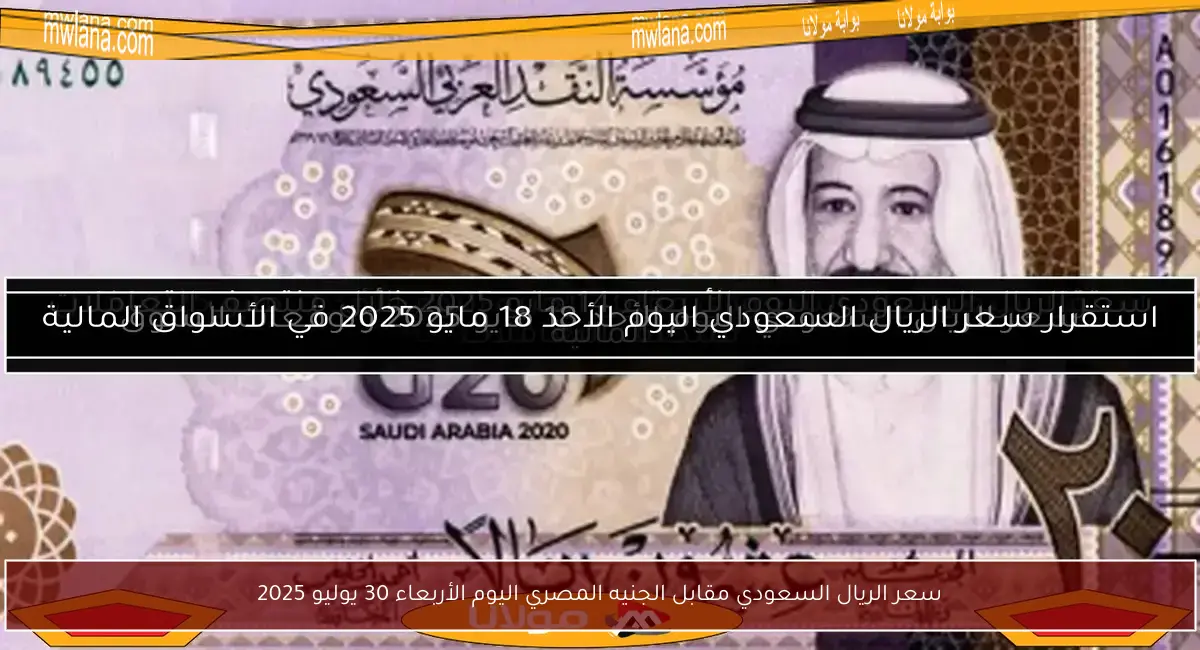 سعر الريال السعودي مقابل الجنيه المصري اليوم الأربعاء 30 يوليو 2025
