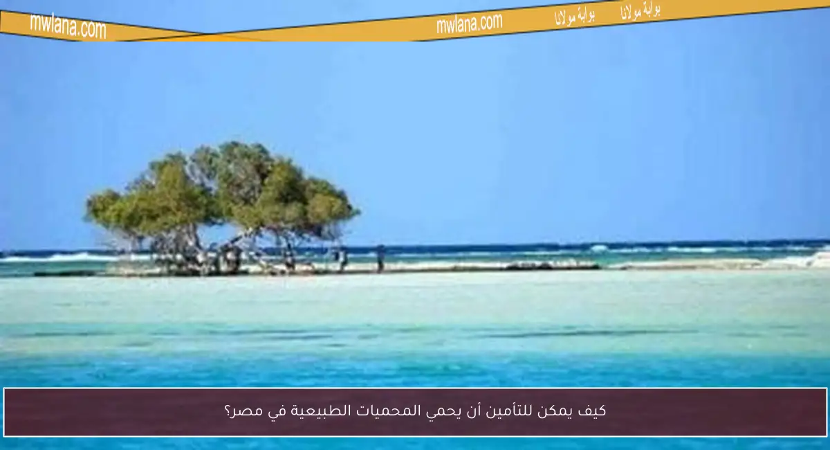 كيف يمكن للتأمين أن يحمي المحميات الطبيعية في مصر؟