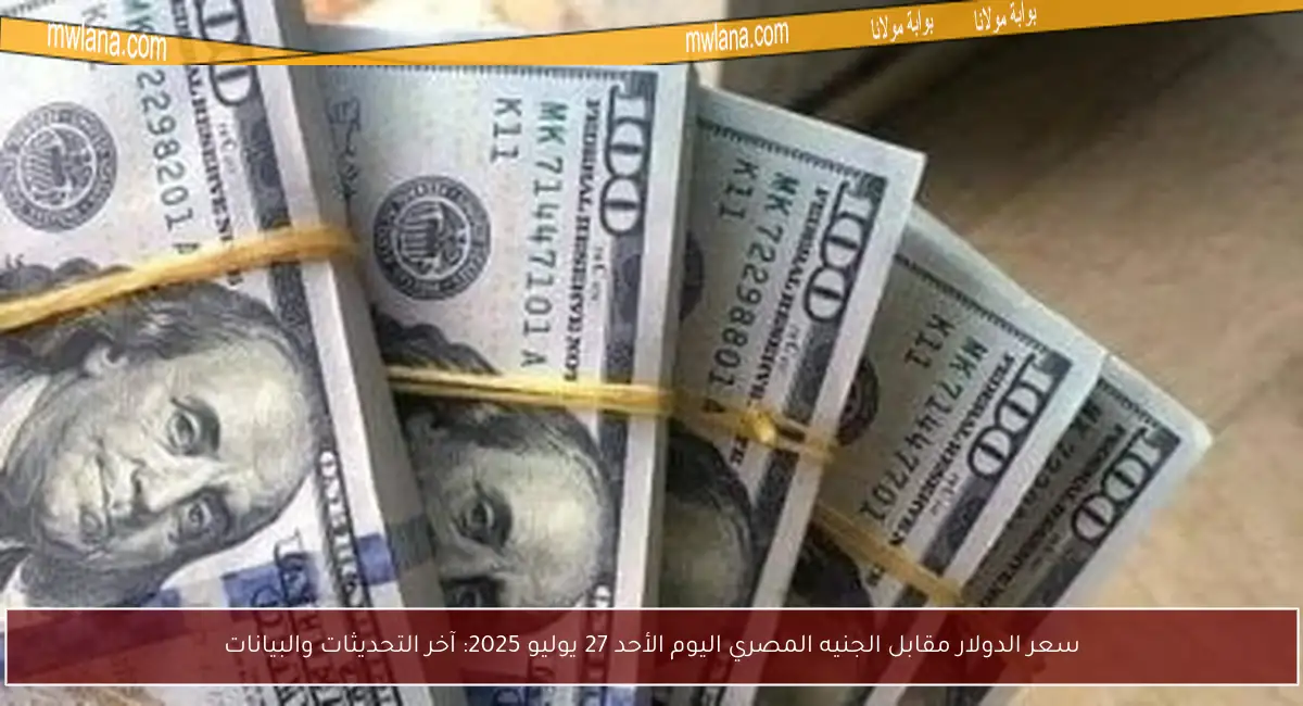 سعر الدولار مقابل الجنيه المصري اليوم الأحد 27 يوليو 2025: آخر التحديثات والبيانات
