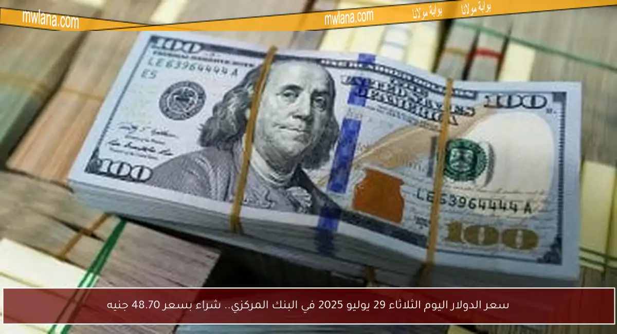 سعر الدولار اليوم الثلاثاء 29 يوليو 2025 في البنك المركزي.. شراء بسعر 48.70 جنيه