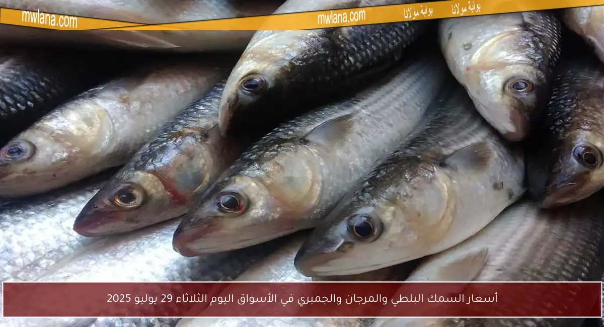 أسعار السمك البلطي والمرجان والجمبري في الأسواق اليوم الثلاثاء 29 يوليو 2025