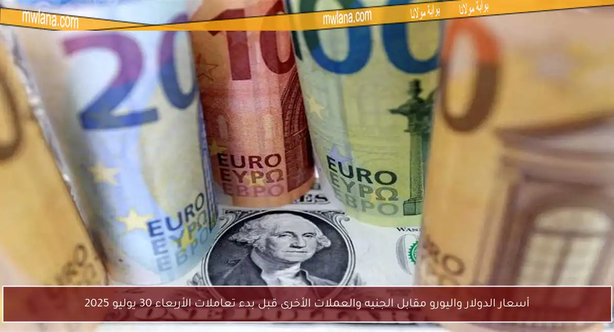 أسعار الدولار واليورو مقابل الجنيه والعملات الأخرى قبل بدء تعاملات الأربعاء 30 يوليو 2025