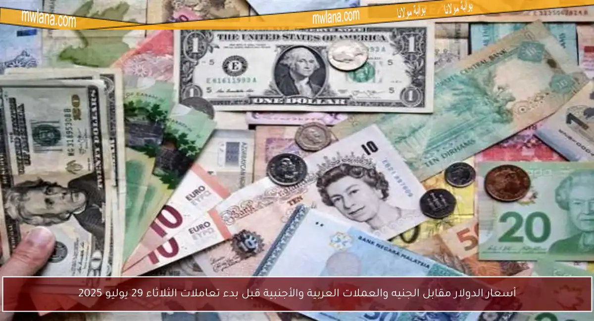 أسعار الدولار مقابل الجنيه والعملات العربية والأجنبية قبل بدء تعاملات الثلاثاء 29 يوليو 2025