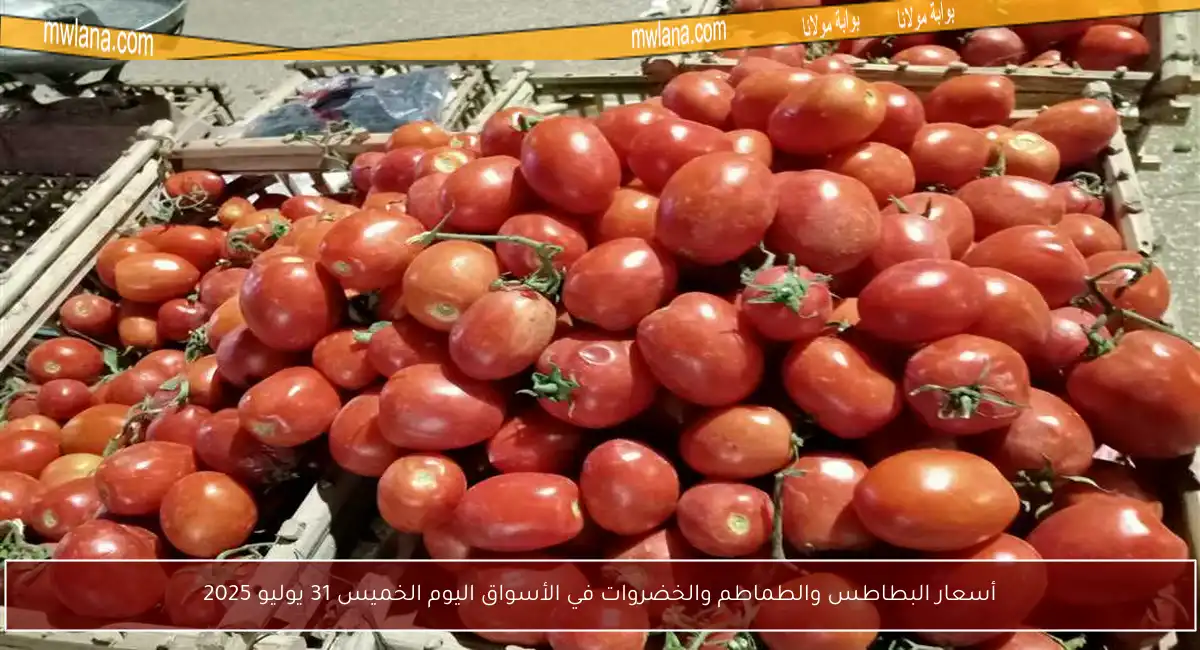 أسعار البطاطس والطماطم والخضروات في الأسواق اليوم الخميس 31 يوليو 2025