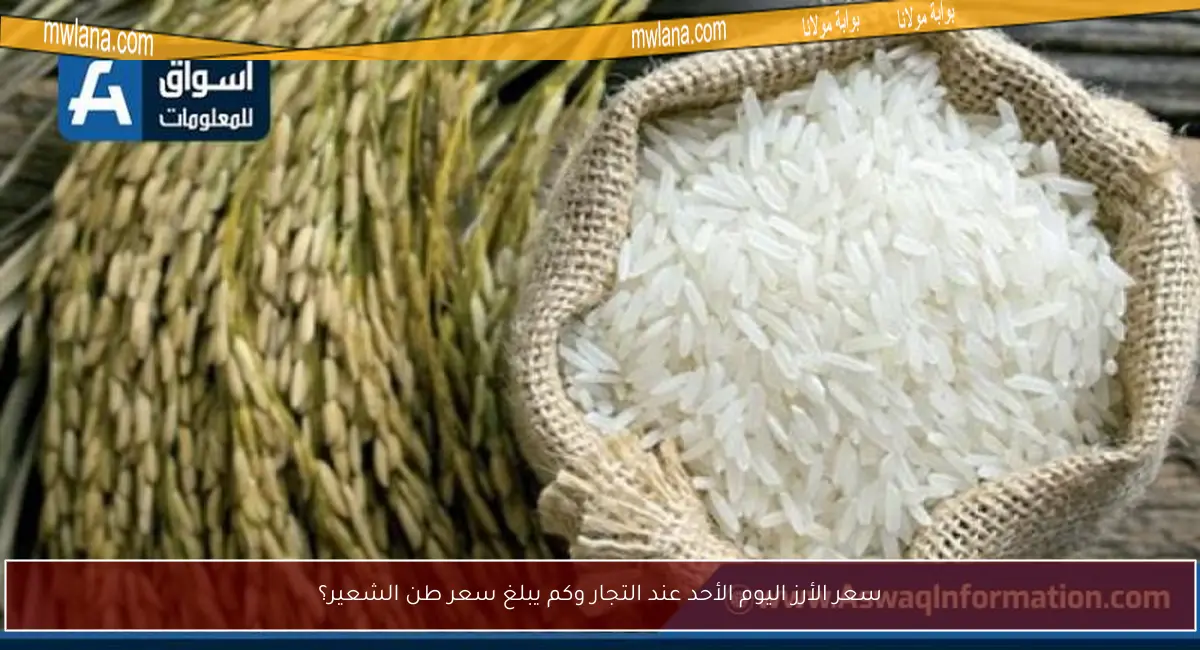 سعر الأرز اليوم الأحد عند التجار وكم يبلغ سعر طن الشعير؟