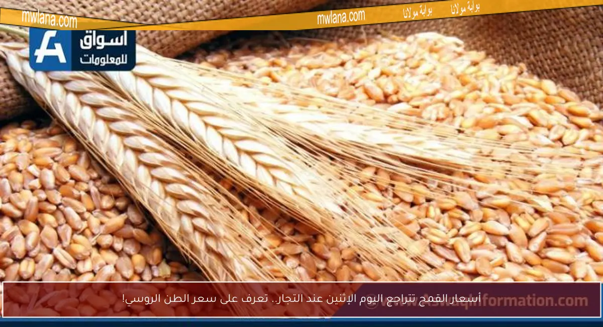 أسعار القمح تتراجع اليوم الإثنين عند التجار.. تعرف على سعر الطن الروسي!