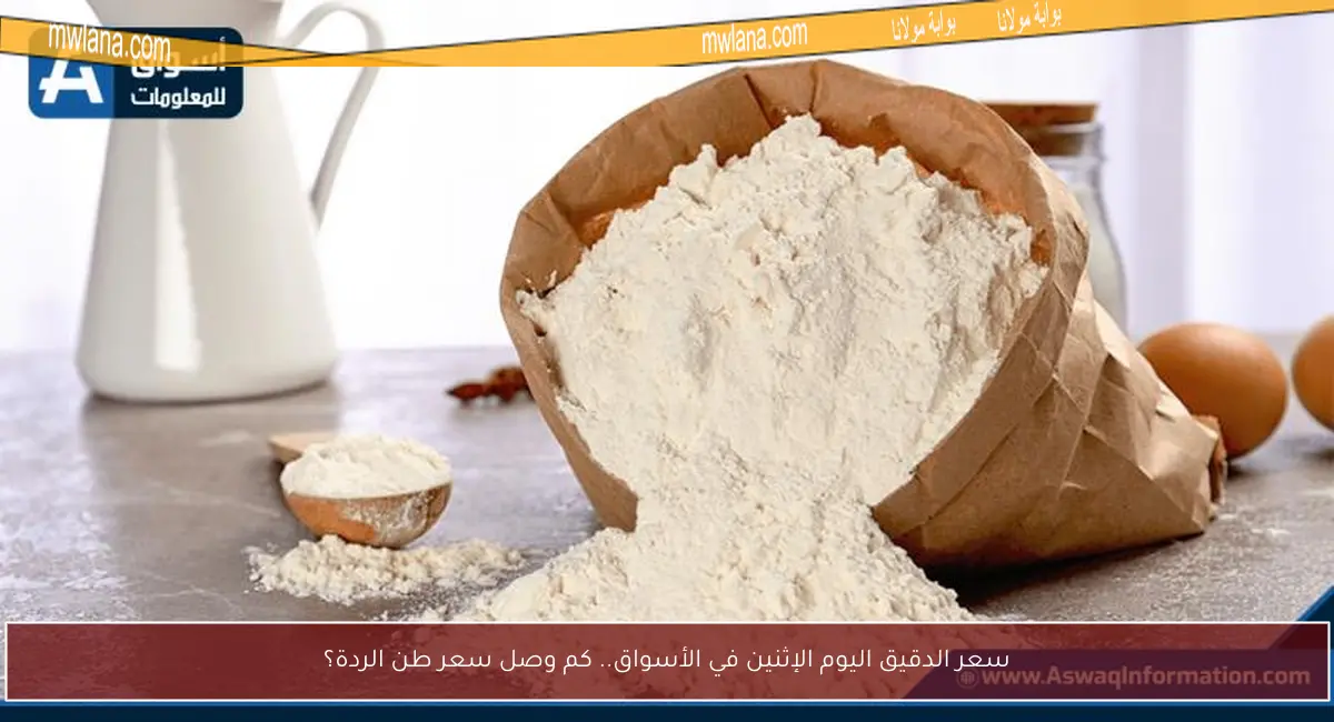 سعر الدقيق اليوم الإثنين في الأسواق.. كم وصل سعر طن الردة؟