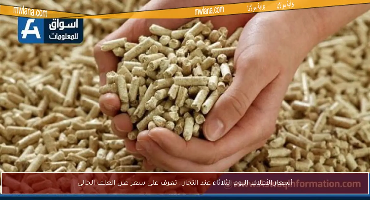 أسعار الأعلاف اليوم الثلاثاء عند التجار.. تعرف على سعر طن العلف الحالي