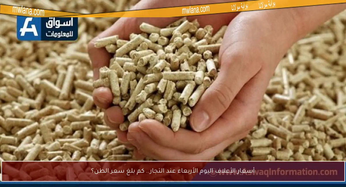 أسعار الأعلاف اليوم الأربعاء عند التجار.. كم بلغ سعر الطن؟