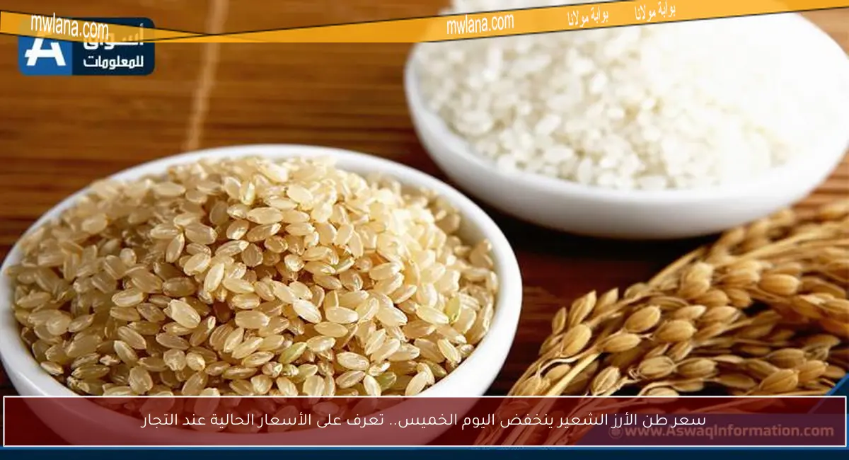 سعر طن الأرز الشعير ينخفض اليوم الخميس.. تعرف على الأسعار الحالية عند التجار