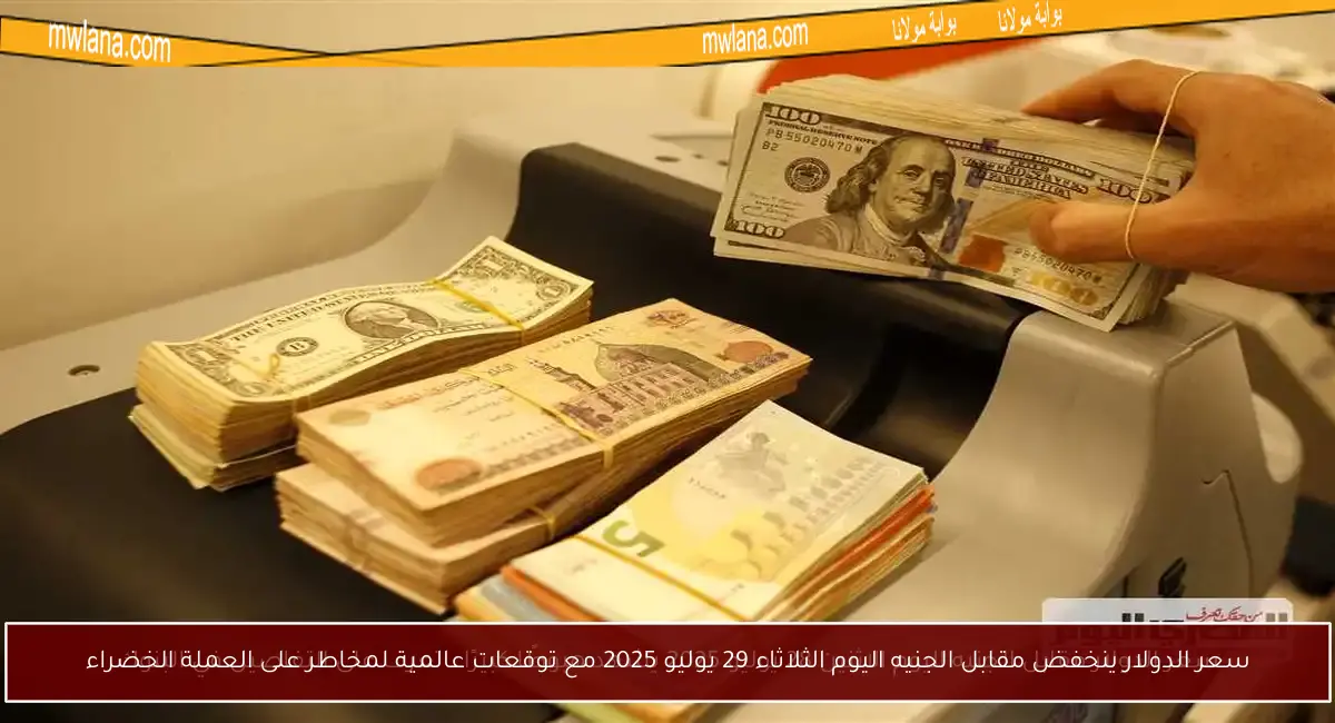 سعر الدولار ينخفض مقابل الجنيه اليوم الثلاثاء 29 يوليو 2025 مع توقعات عالمية لمخاطر على العملة الخضراء