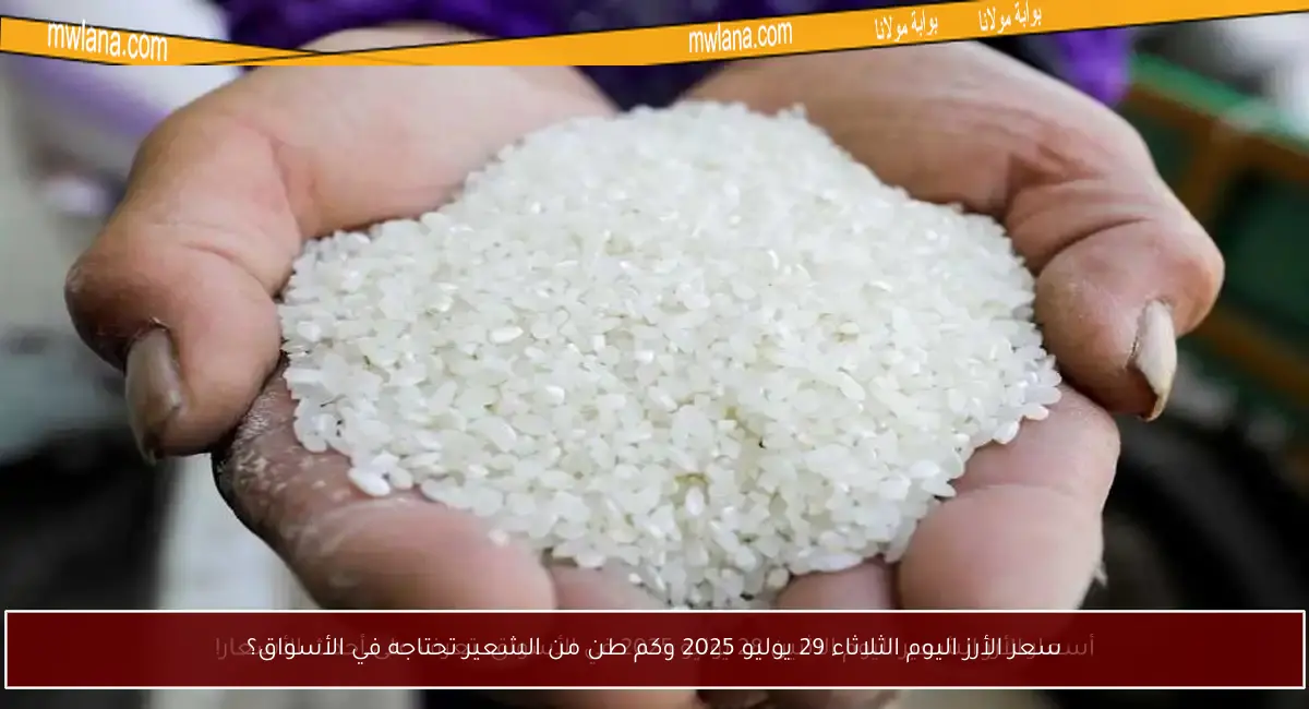 سعر الأرز اليوم الثلاثاء 29 يوليو 2025 وكم طن من الشعير تحتاجه في الأسواق؟