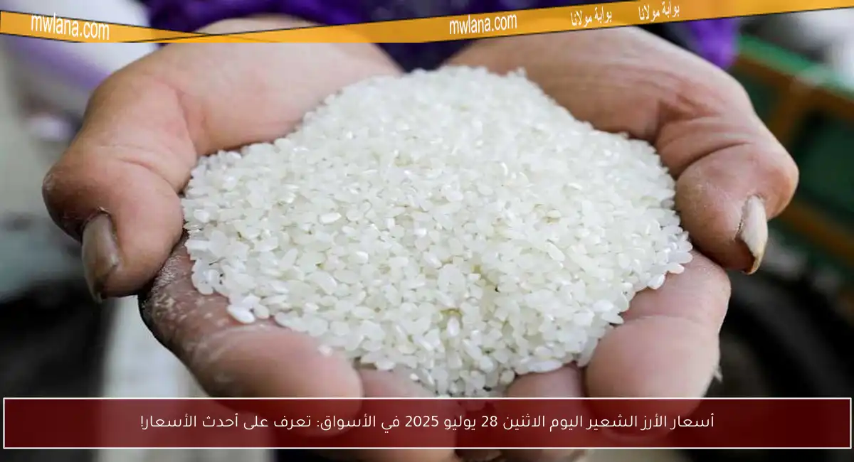 أسعار الأرز الشعير اليوم الاثنين 28 يوليو 2025 في الأسواق: تعرف على أحدث الأسعار!