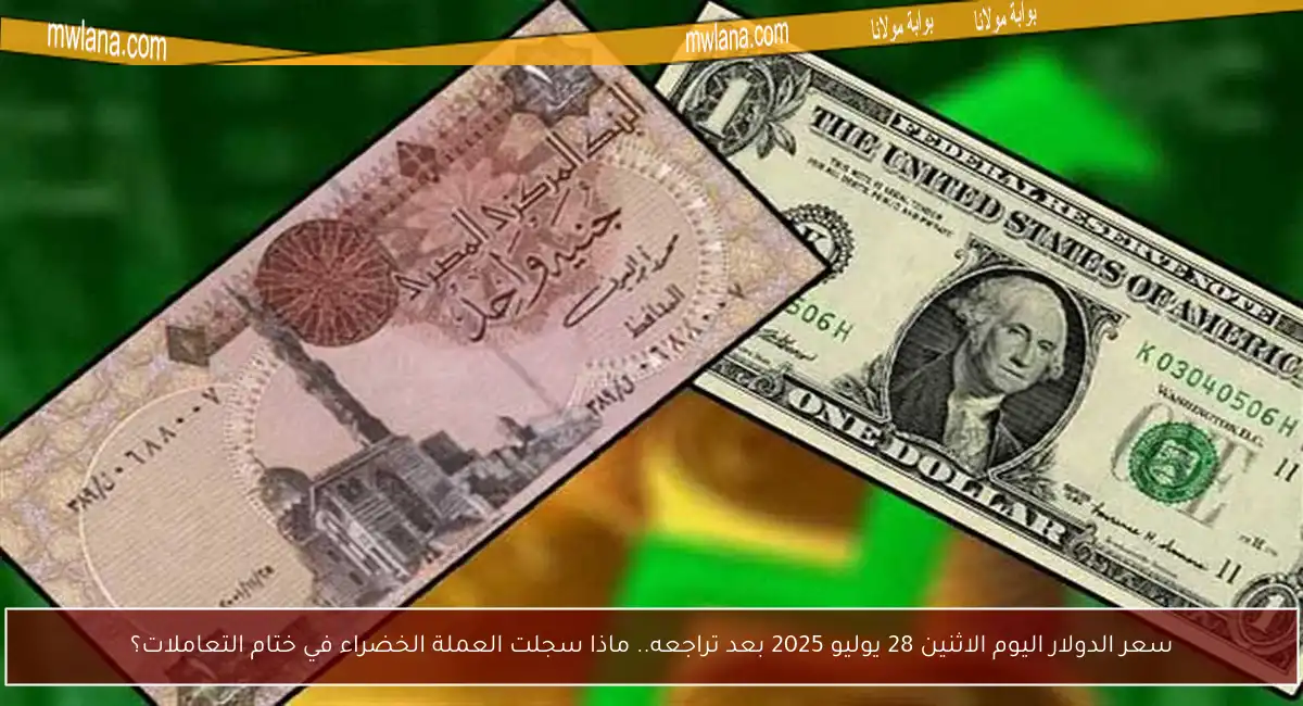 سعر الدولار اليوم الاثنين 28 يوليو 2025 بعد تراجعه.. ماذا سجلت العملة الخضراء في ختام التعاملات؟