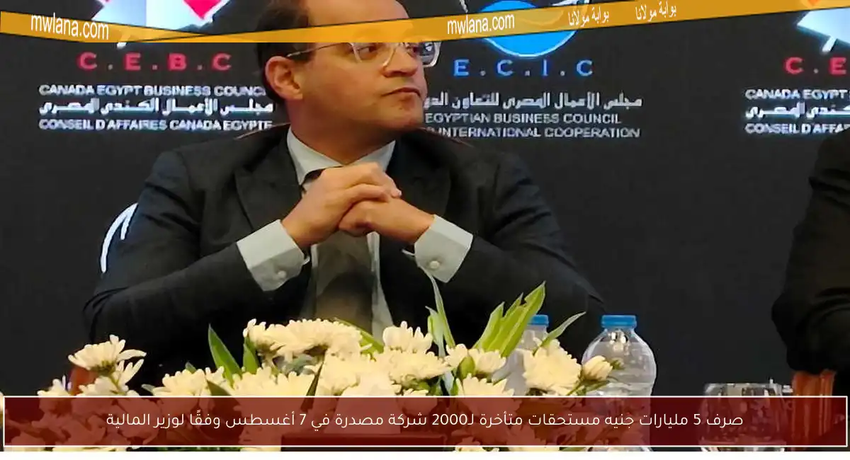 صرف 5 مليارات جنيه مستحقات متأخرة لـ2000 شركة مصدرة في 7 أغسطس وفقًا لوزير المالية