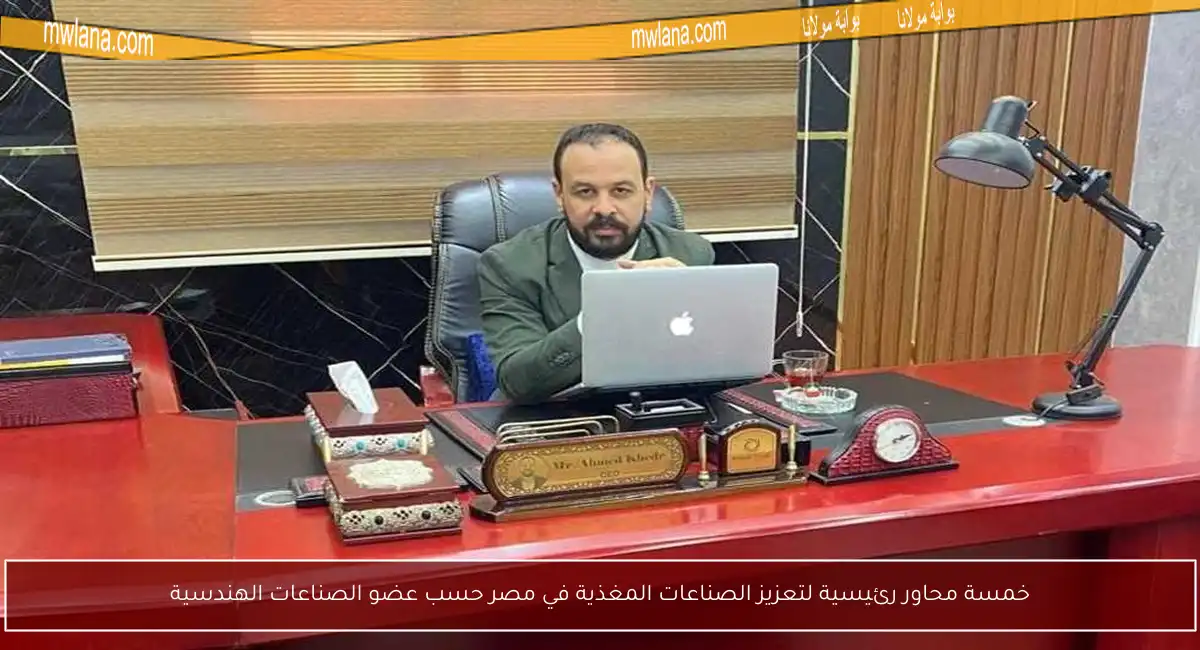 خمسة محاور رئيسية لتعزيز الصناعات المغذية في مصر حسب عضو الصناعات الهندسية