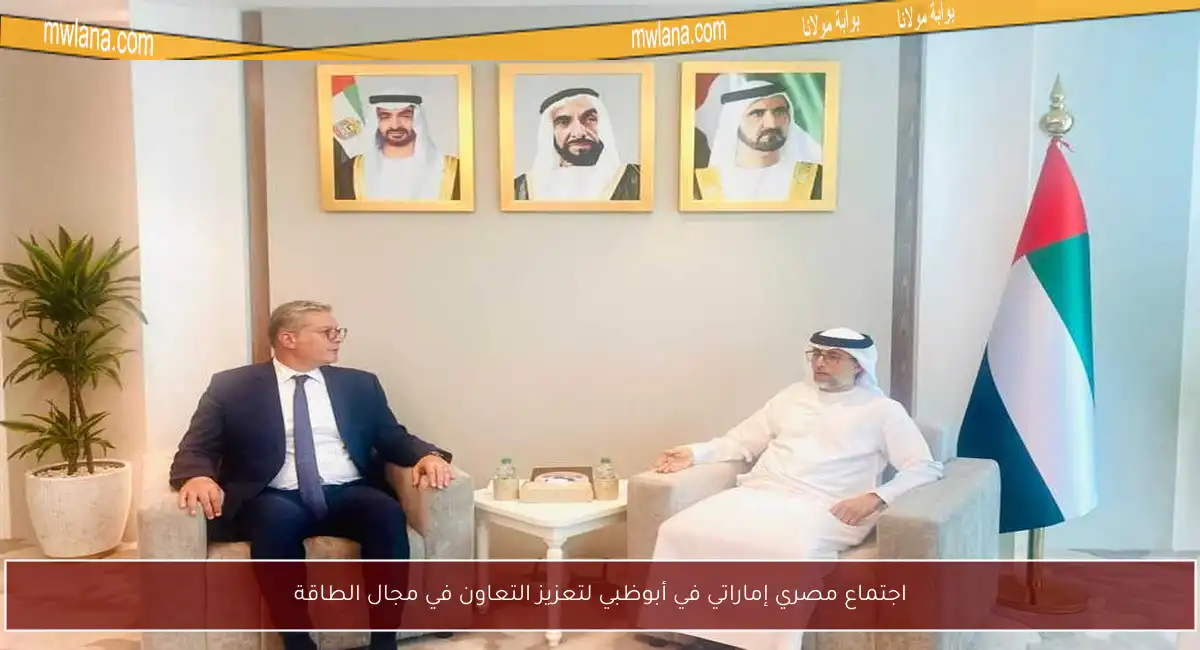 اجتماع مصري إماراتي في أبوظبي لتعزيز التعاون في مجال الطاقة