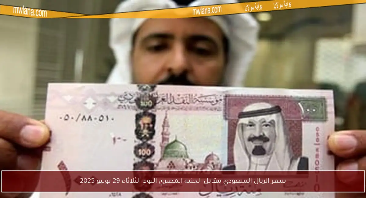 سعر الريال السعودي مقابل الجنيه المصري اليوم الثلاثاء 29 يوليو 2025