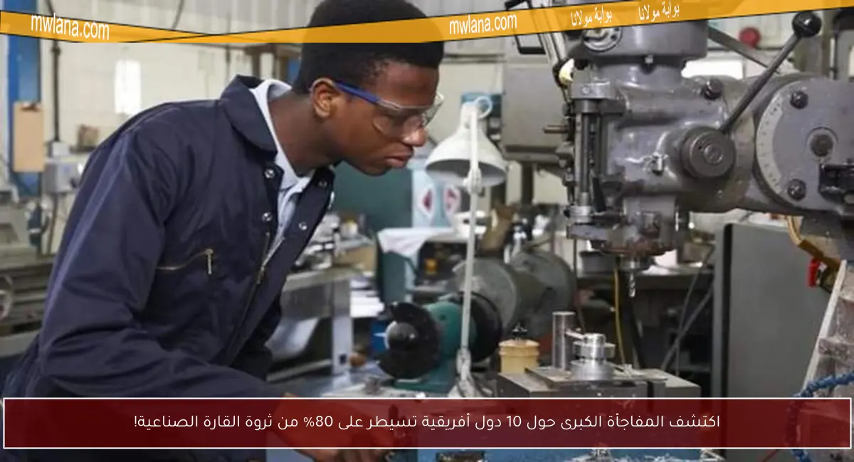 اكتشف المفاجأة الكبرى حول 10 دول أفريقية تسيطر على 80% من ثروة القارة الصناعية!