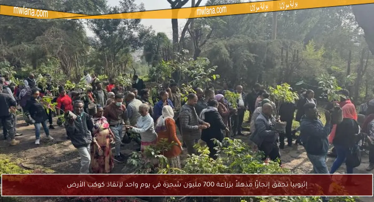 إثيوبيا تحقق إنجازًا مذهلاً بزراعة 700 مليون شجرة في يوم واحد لإنقاذ كوكب الأرض