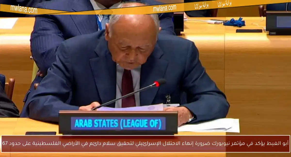 أبو الغيط يؤكد في مؤتمر نيويورك ضرورة إنهاء الاحتلال الإسرائيلي لتحقيق سلام دائم في الأراضي الفلسطينية على حدود 67