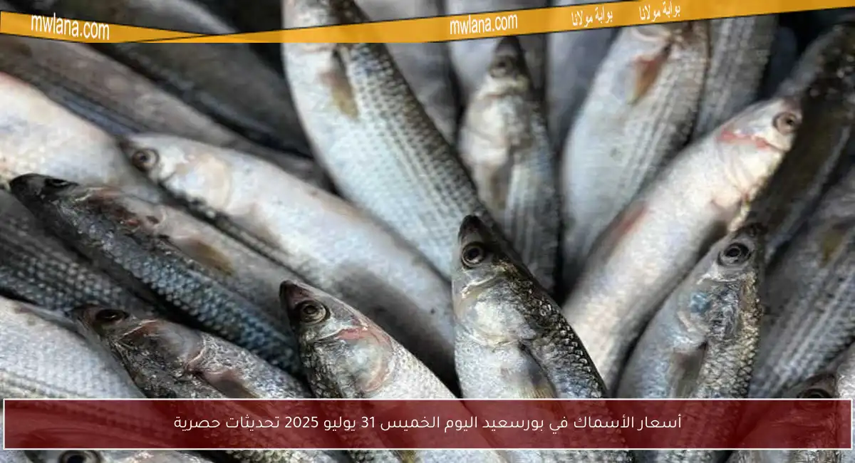أسعار الأسماك في بورسعيد اليوم الخميس 31 يوليو 2025 تحديثات حصرية
