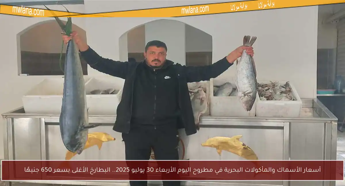 أسعار الأسماك والمأكولات البحرية في مطروح اليوم الأربعاء 30 يوليو 2025.. البطارخ الأغلى بسعر 650 جنيهًا