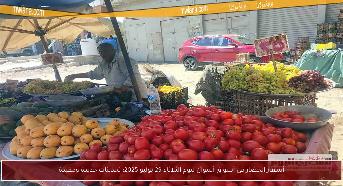 أسعار الخضار في أسواق أسوان ليوم الثلاثاء 29 يوليو 2025: تحديثات جديدة ومفيدة