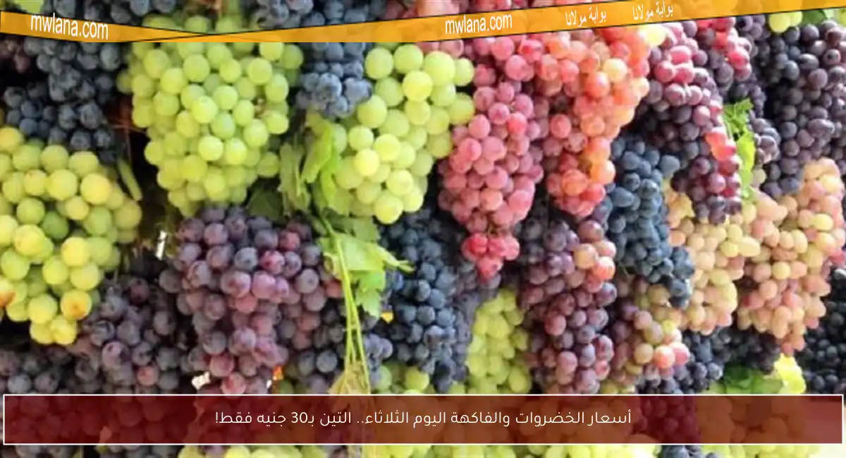 أسعار الخضروات والفاكهة اليوم الثلاثاء.. التين بـ30 جنيه فقط!