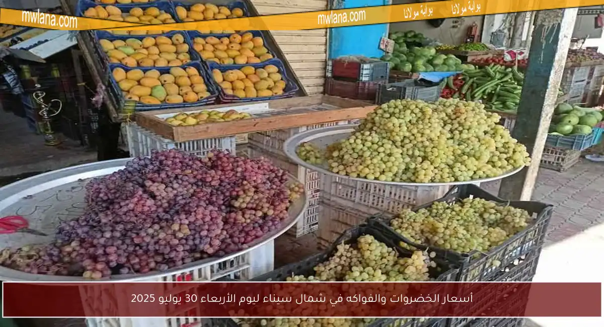 أسعار الخضروات والفواكه في شمال سيناء ليوم الأربعاء 30 يوليو 2025