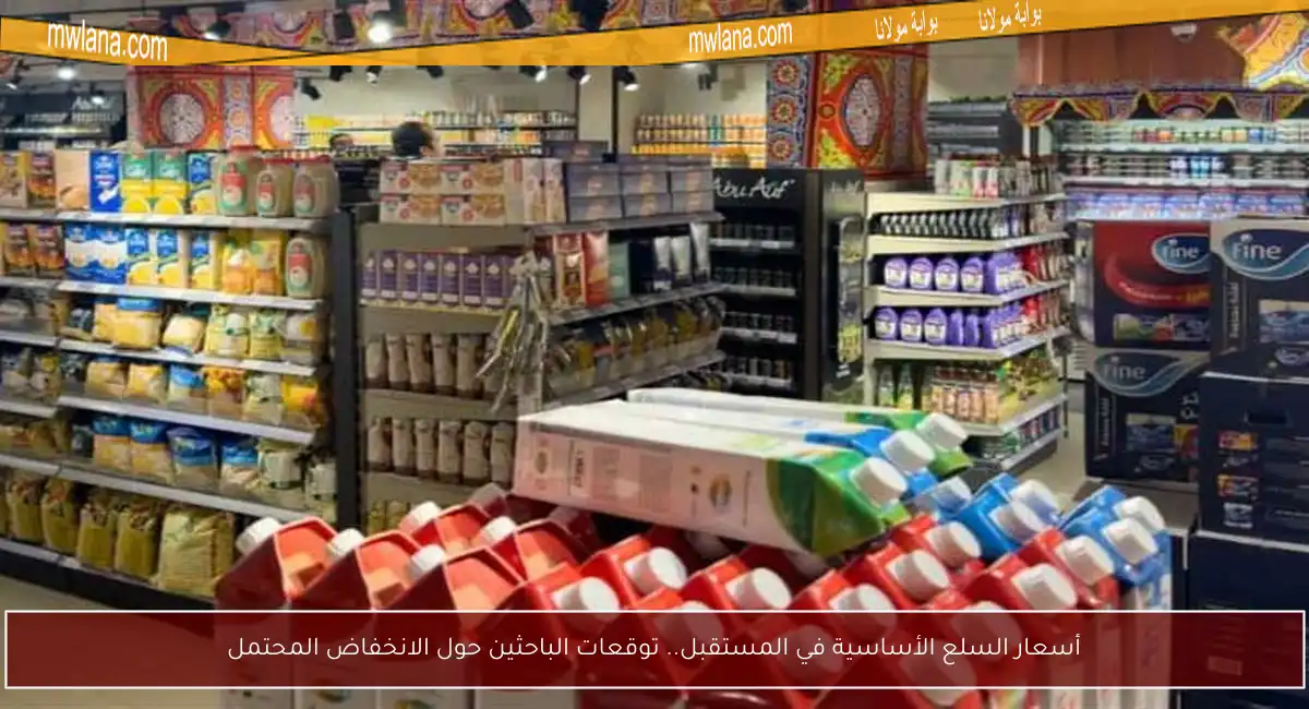 أسعار السلع الأساسية في المستقبل.. توقعات الباحثين حول الانخفاض المحتمل