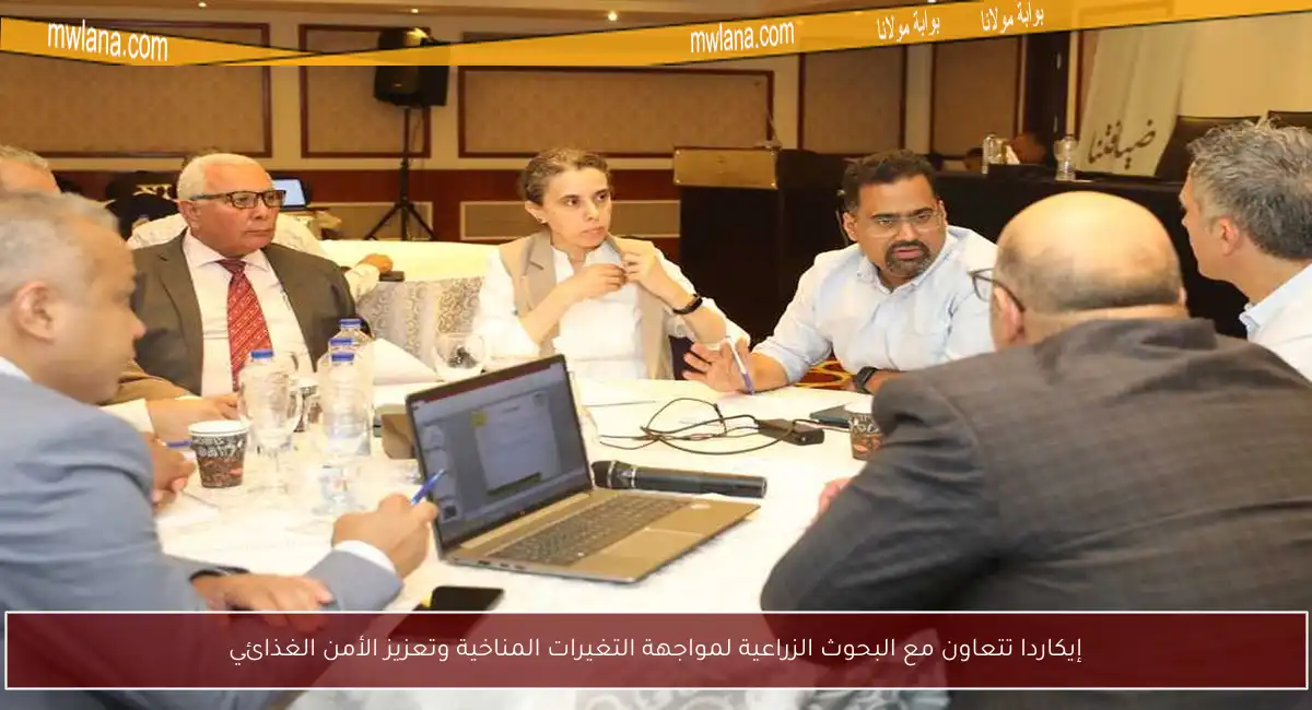 إيكاردا تتعاون مع البحوث الزراعية لمواجهة التغيرات المناخية وتعزيز الأمن الغذائي
