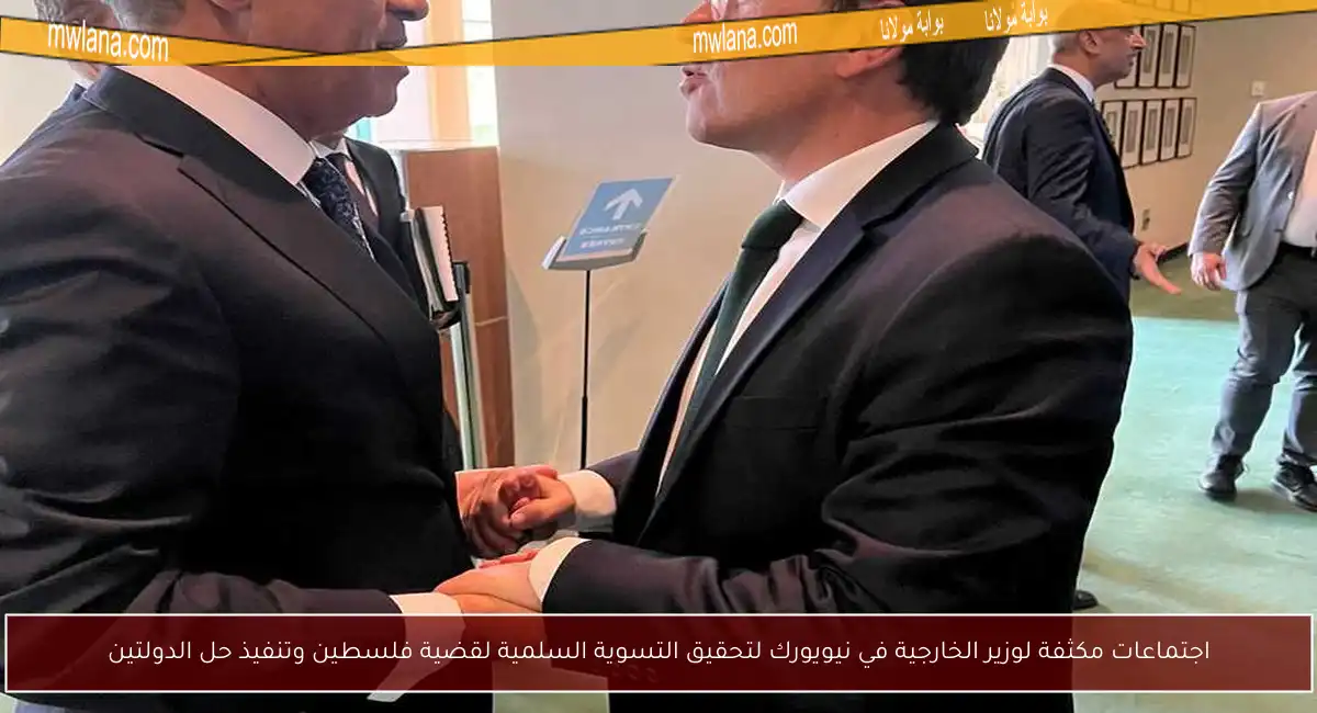 اجتماعات مكثفة لوزير الخارجية في نيويورك لتحقيق التسوية السلمية لقضية فلسطين وتنفيذ حل الدولتين