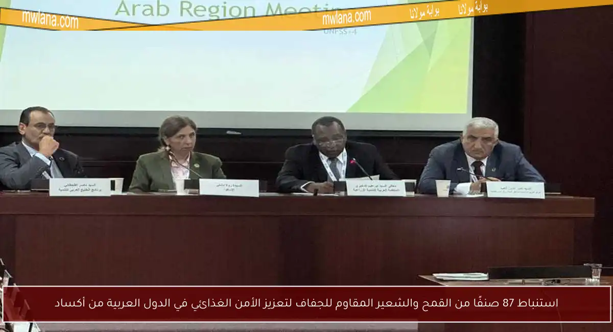 استنباط 87 صنفًا من القمح والشعير المقاوم للجفاف لتعزيز الأمن الغذائي في الدول العربية من أكساد