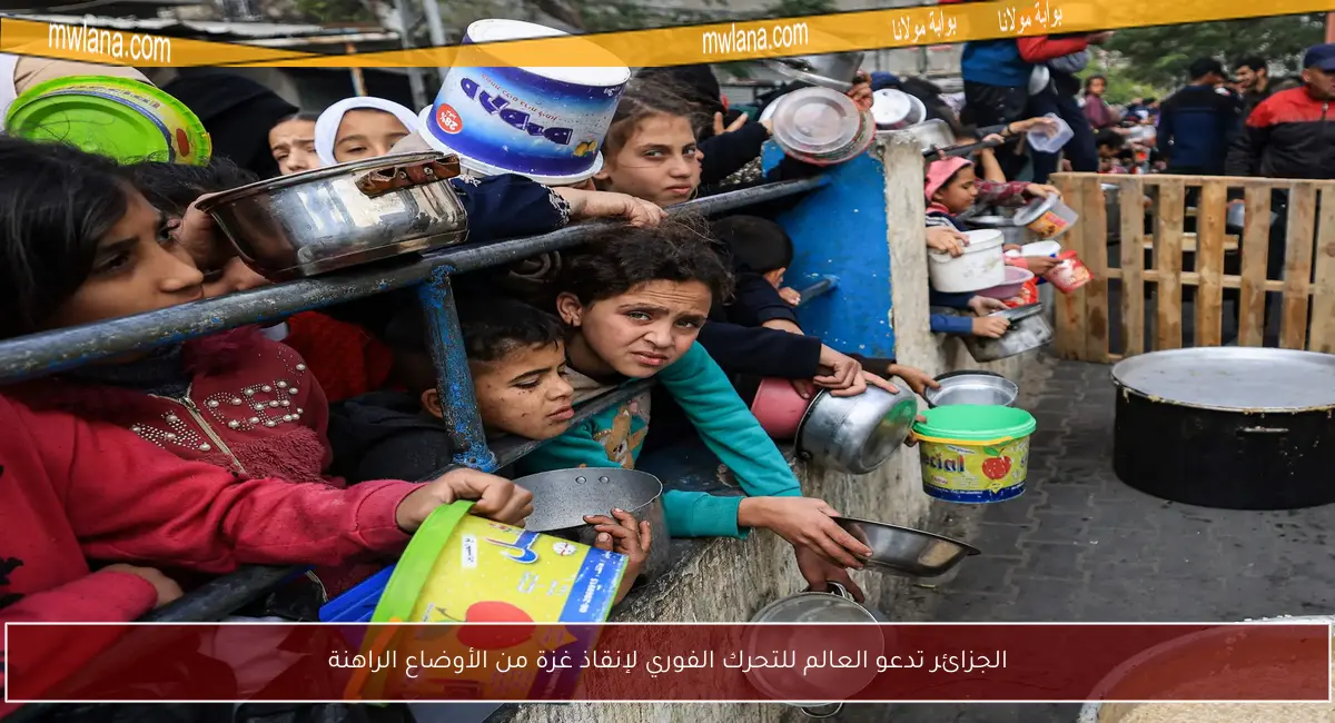 الجزائر تدعو العالم للتحرك الفوري لإنقاذ غزة من الأوضاع الراهنة