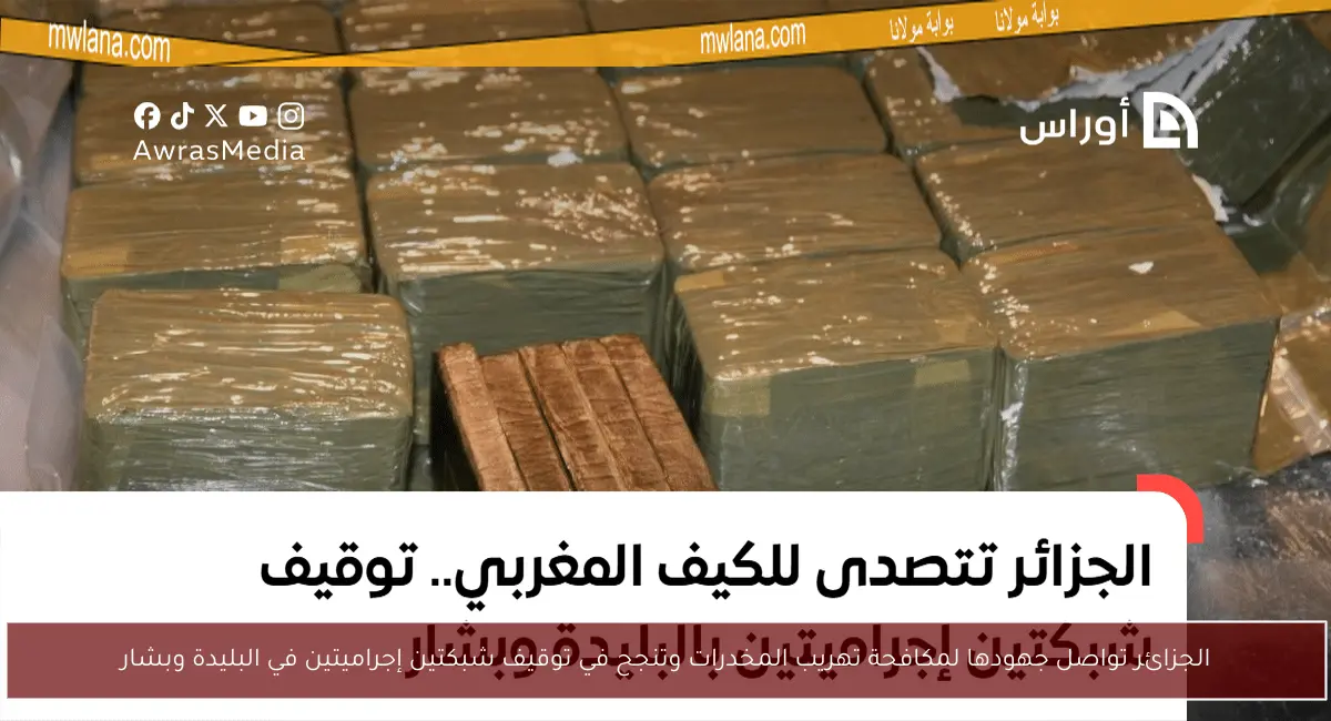 الجزائر تواصل جهودها لمكافحة تهريب المخدرات وتنجح في توقيف شبكتين إجراميتين في البليدة وبشار