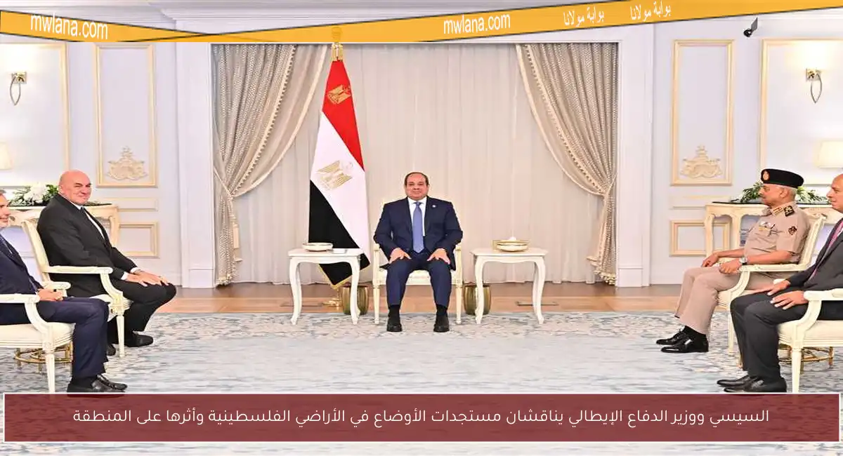 السيسي ووزير الدفاع الإيطالي يناقشان مستجدات الأوضاع في الأراضي الفلسطينية وأثرها على المنطقة