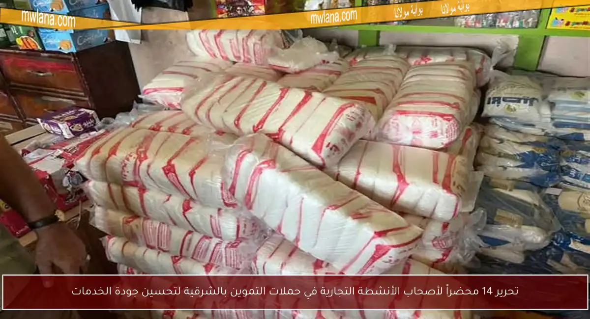 تحرير 14 محضراً لأصحاب الأنشطة التجارية في حملات التموين بالشرقية لتحسين جودة الخدمات