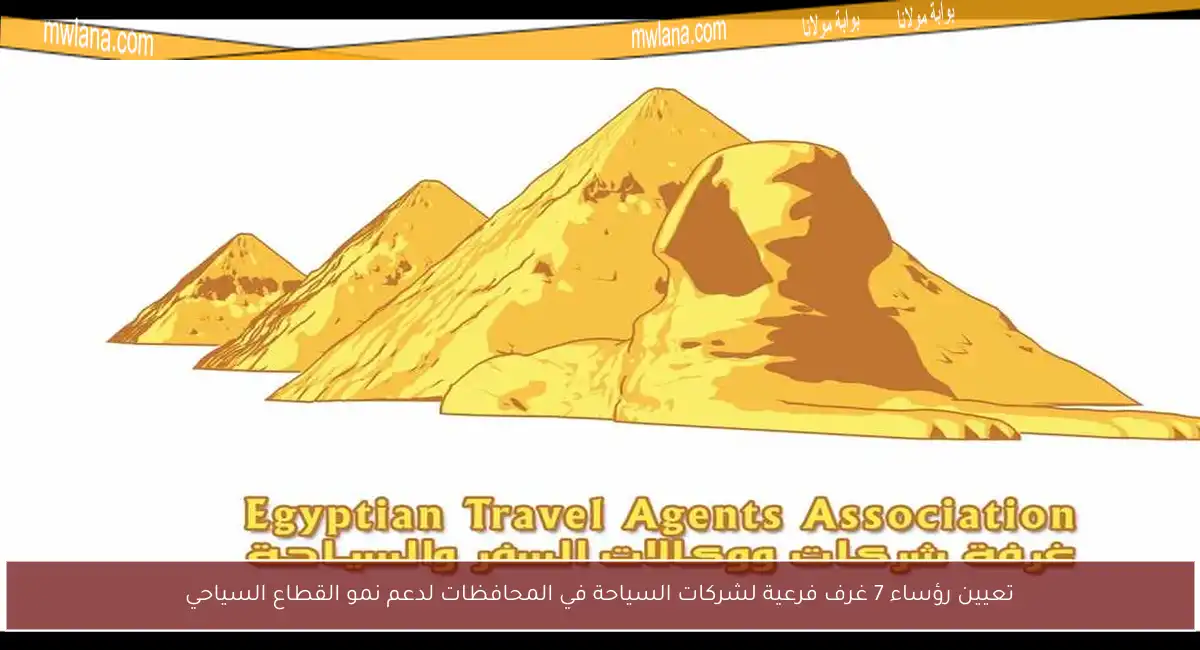 تعيين رؤساء 7 غرف فرعية لشركات السياحة في المحافظات لدعم نمو القطاع السياحي