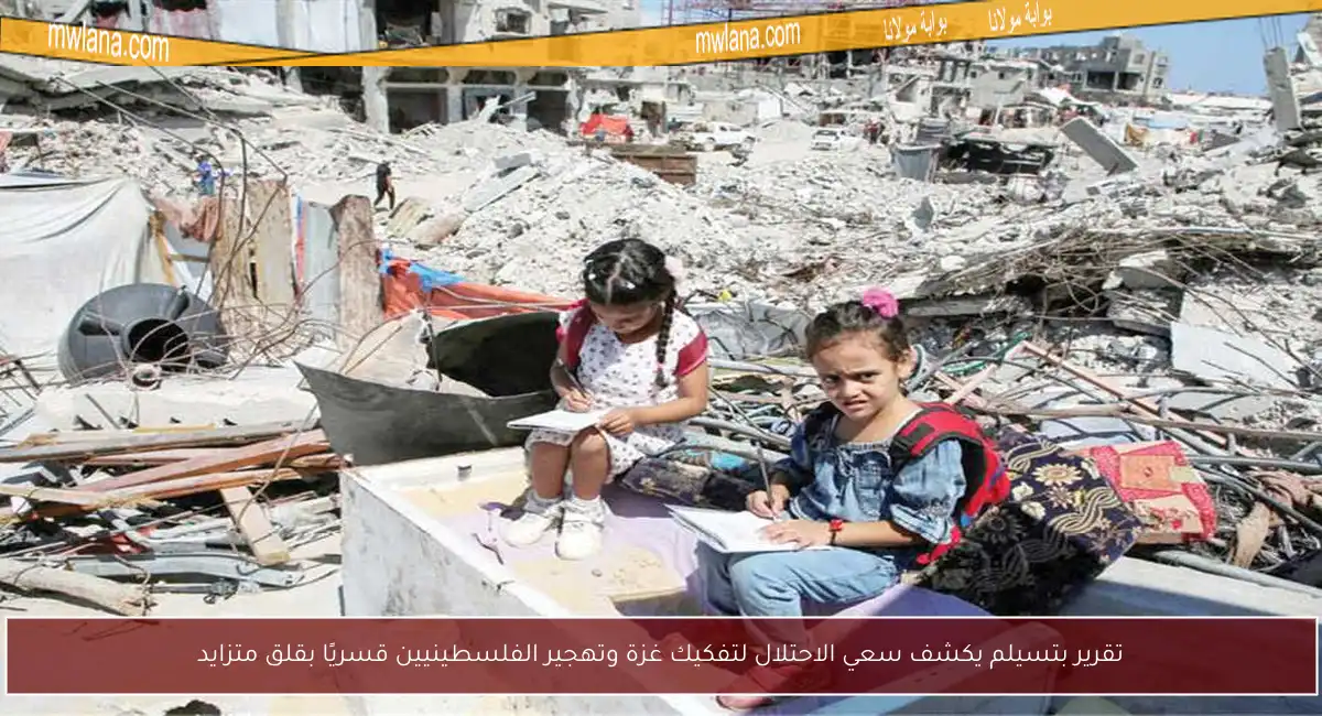 تقرير بتسيلم يكشف سعي الاحتلال لتفكيك غزة وتهجير الفلسطينيين قسريًا بقلق متزايد