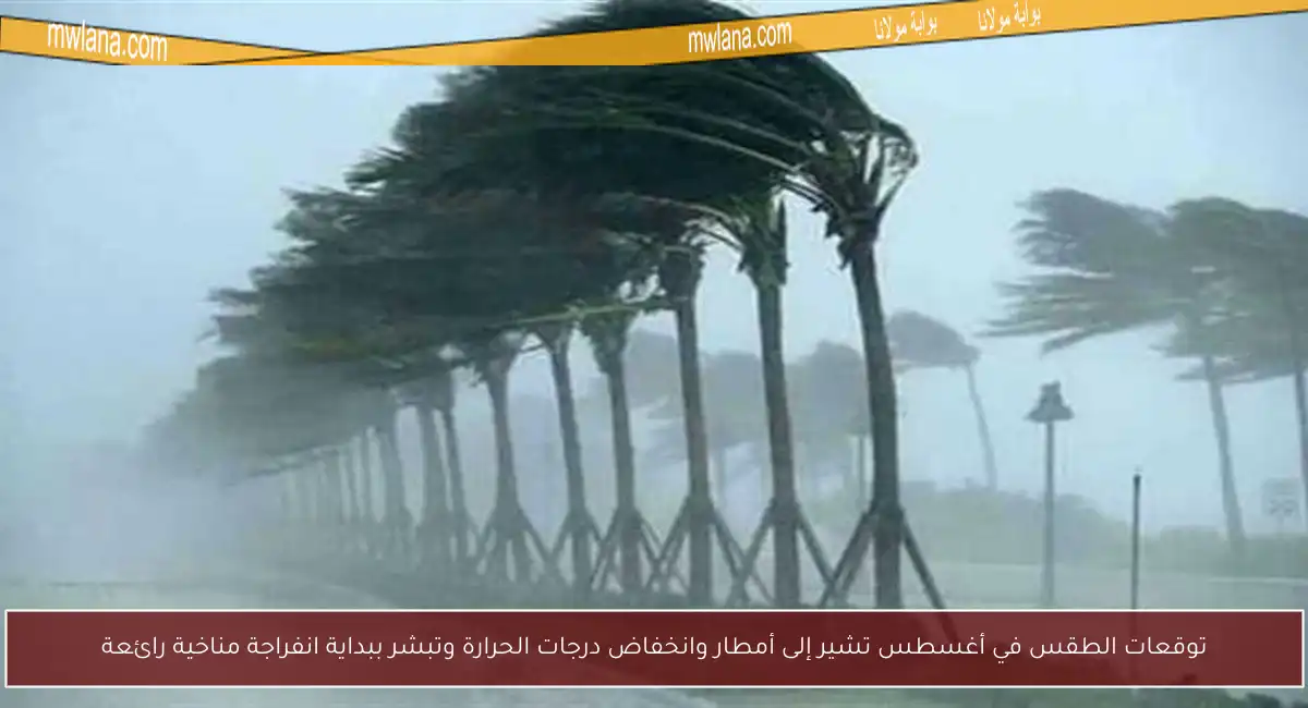 توقعات الطقس في أغسطس تشير إلى أمطار وانخفاض درجات الحرارة وتبشر ببداية انفراجة مناخية رائعة