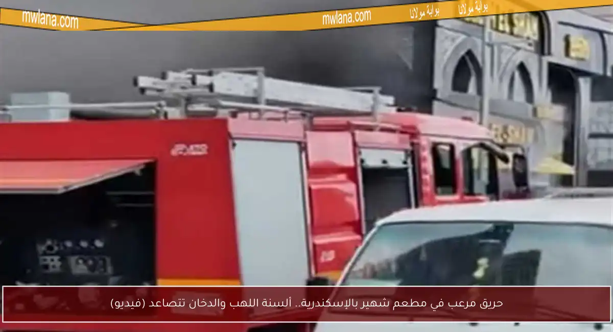 حريق مرعب في مطعم شهير بالإسكندرية.. ألسنة اللهب والدخان تتصاعد (فيديو)