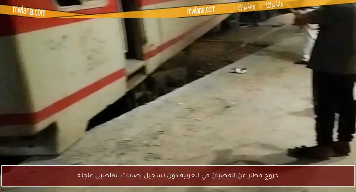 خروج قطار عن القضبان في الغربية دون تسجيل إصابات، تفاصيل عاجلة