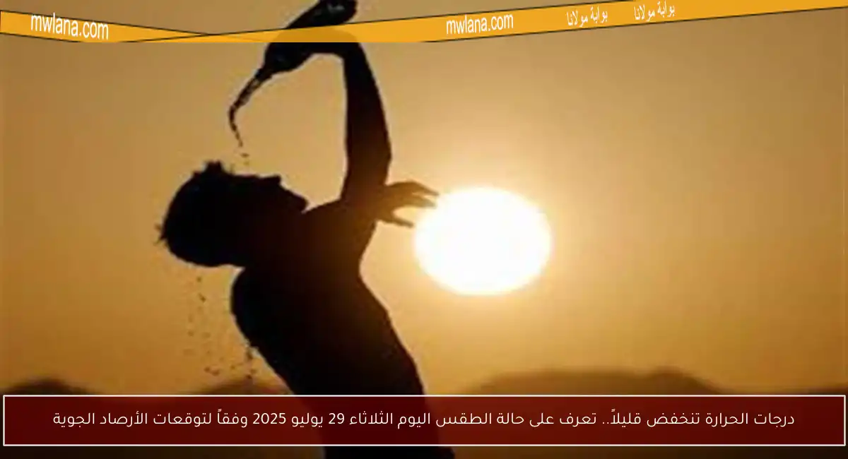 درجات الحرارة تنخفض قليلاً.. تعرف على حالة الطقس اليوم الثلاثاء 29 يوليو 2025 وفقاً لتوقعات الأرصاد الجوية