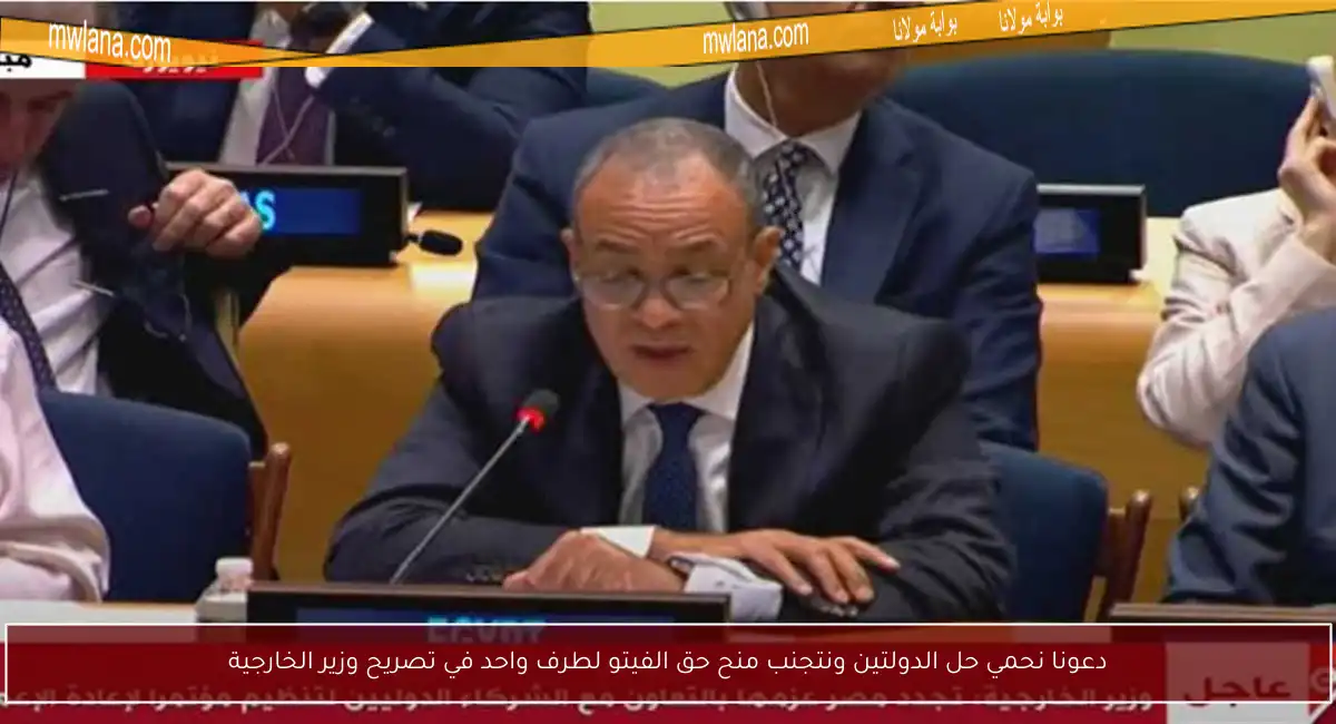 دعونا نحمي حل الدولتين ونتجنب منح حق الفيتو لطرف واحد في تصريح وزير الخارجية